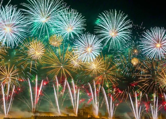 Le Panorama De La Cite Medievale-clim -4pers Appartement