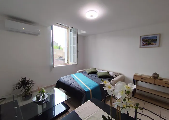 Climatise Avec Vue Sur La Cite Apartment *